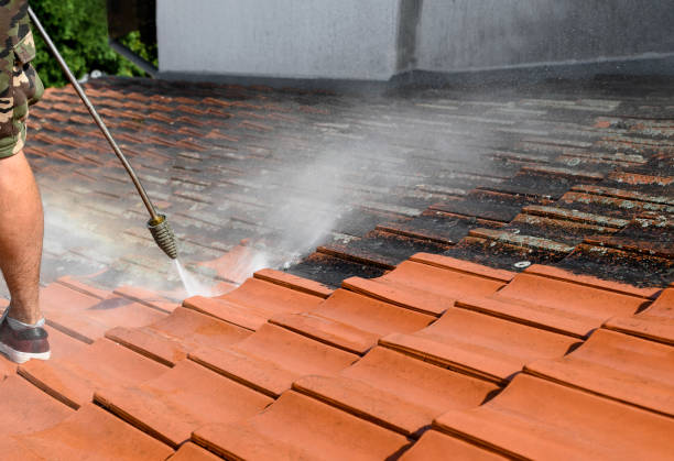 Best Pressure Washing Near Me  in Maumee, OH